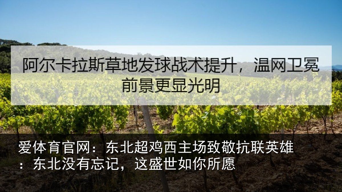 爱体育官网:东北超鸡西主场致敬抗联英雄:东北没有忘记,这盛世如你所愿