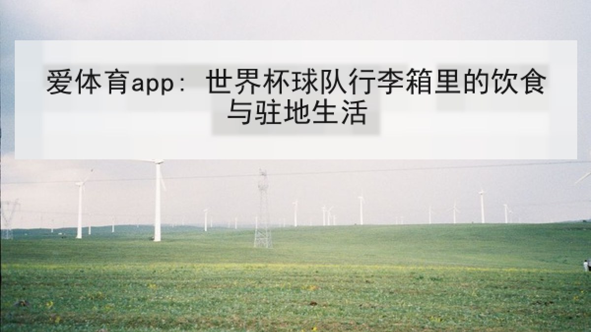 爱体育app: 世界杯球队行李箱里的饮食与驻地生活