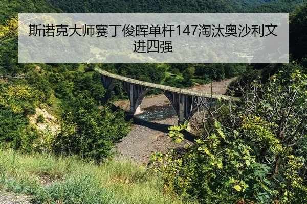 si-nuo-ke-da-shi-sai-ding-jun-hui-dan-gan-tao-tai-ao-sha-li-wen-jin-si-qiang-2-574.jpg