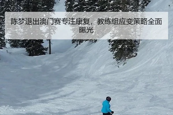 陈梦退出澳门赛专注康复，教练组应变策略全面曝光