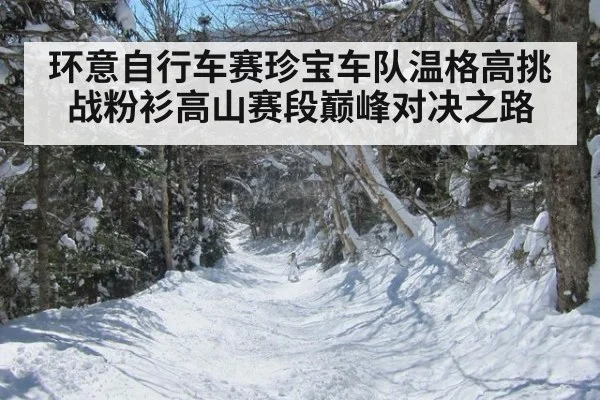 环意自行车赛珍宝车队温格高挑战粉衫高山赛段巅峰对决之路